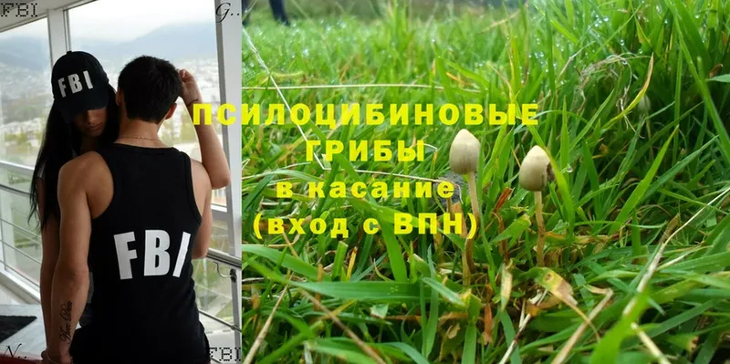 omg ONION  Краснослободск  Псилоцибиновые грибы Magic Shrooms 